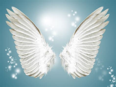 angel wings images